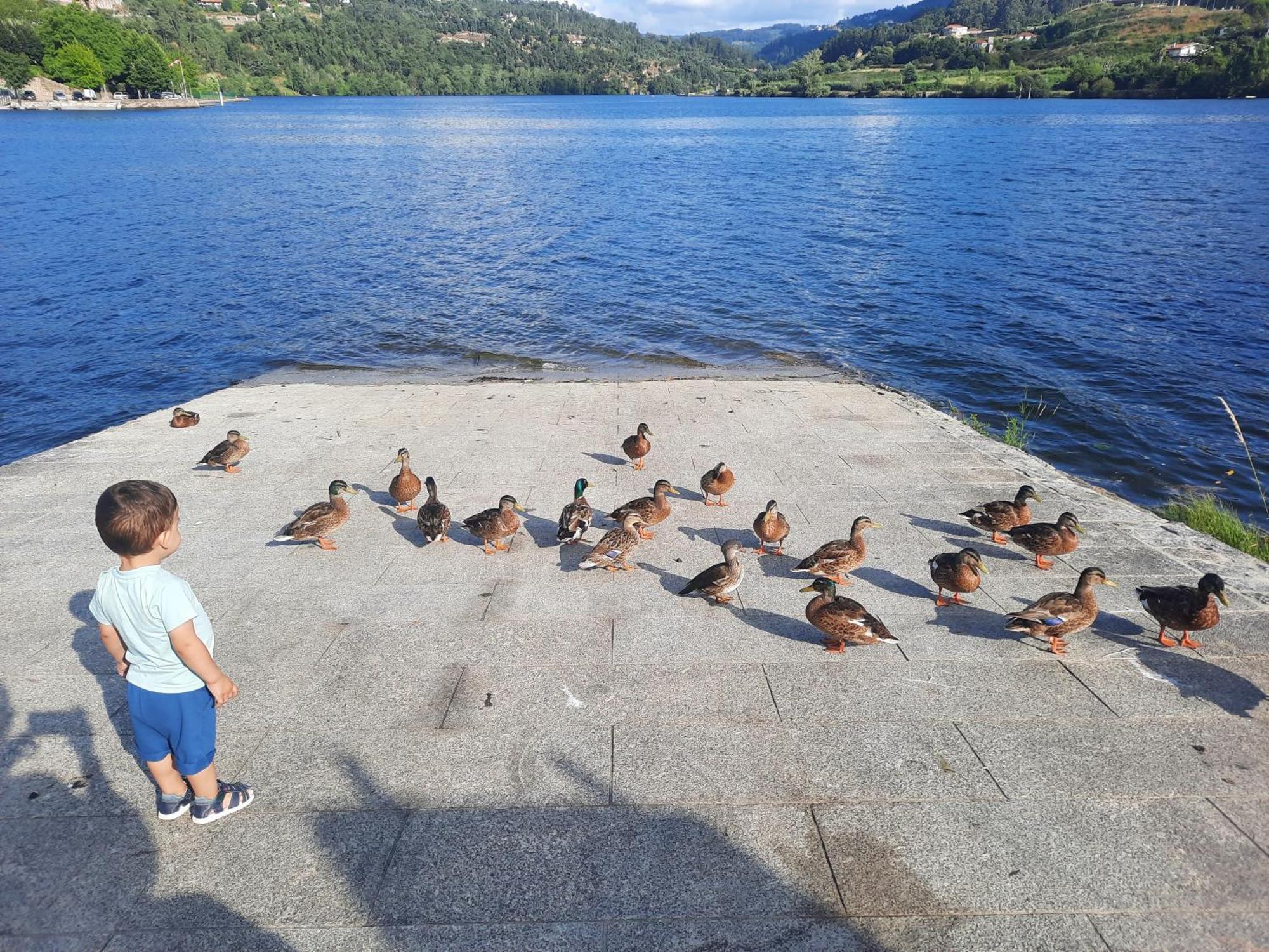 Burguesinha Al Entre-Os-Rios Διαμέρισμα Εξωτερικό φωτογραφία